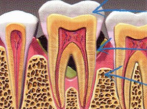 Dentiste Moëlan