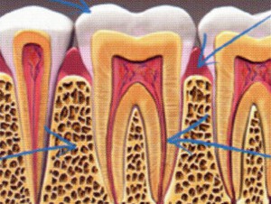 Dentiste Moëlan